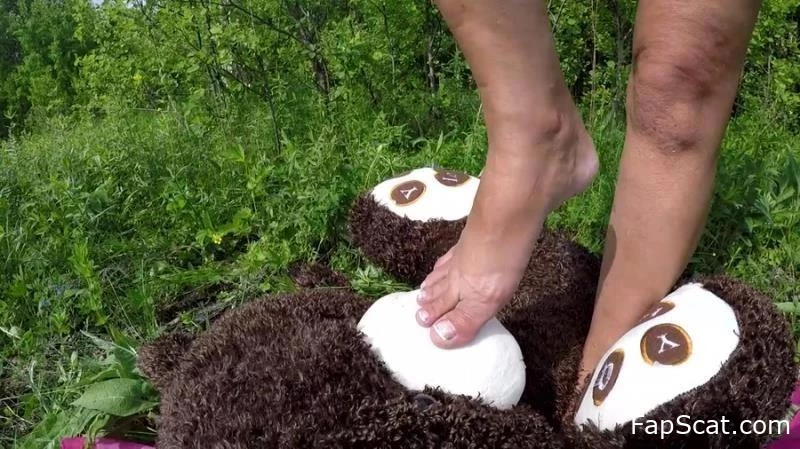 Mr. Teddy im Wald - scatdesire - Scheiße in Höschen, saubere Toilette, getrockneter Scat